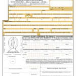 Application For A United States Passport Free Download