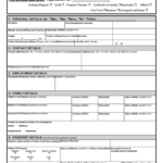 Bahamas Passport Application Form Printable Pdf Download