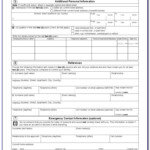 Canadian Passport Renewal Form Printable Form Resume Examples