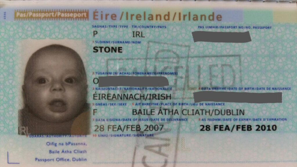 CherrySue Doin The Do How To Get Baby s First Passport In Ireland 