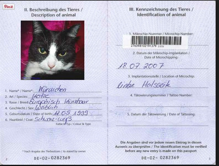 Does My Cat Needs A Passport To Travel NOVA Cat Clinic Arlington 