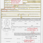 Ds 11 Form 2021 Fillable Pdf Printable Form 2022