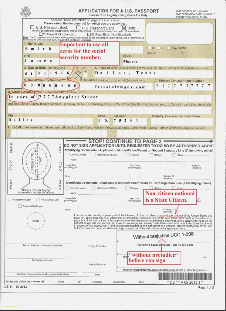 Ds 11 Form 2021 Fillable Pdf Printable Form 2022