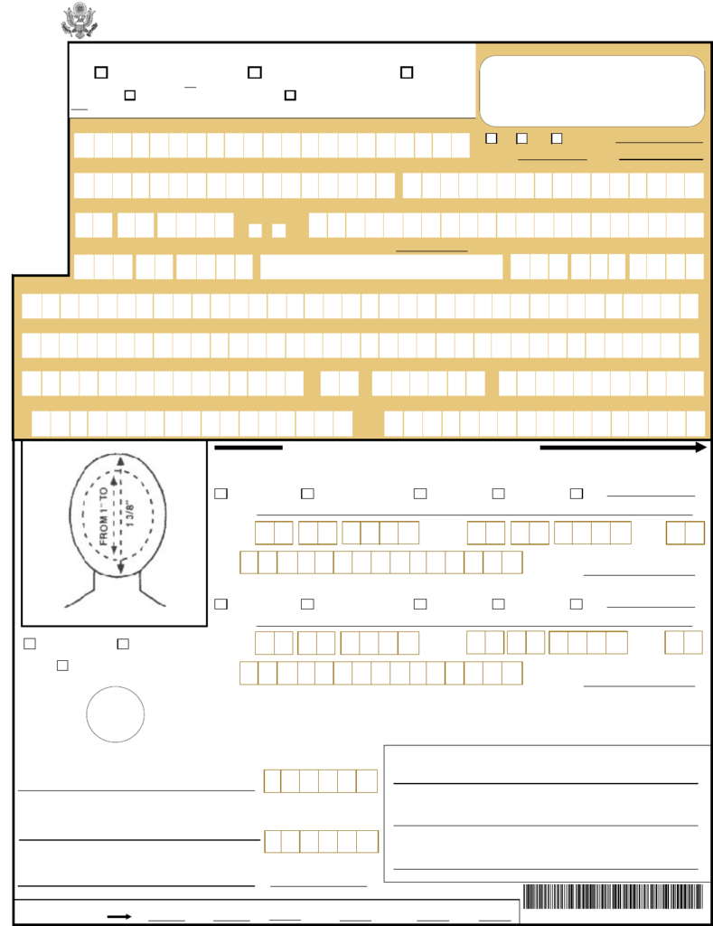 Ds 11 Form Filling Instructions Printable Form 2022