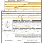 DS 11 Form In Spanish Printable Form 2022