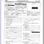 Ds 82 Form Application For Passport Renewal Form Resume Examples