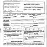 Ds 82 Form Passport Renewal Form Resume Examples Kw9kL5MYJN