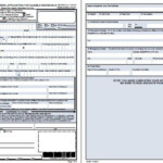 Ds 82 Form Wireioyd Same Day Passport Renewal Houston Tx Fillable