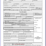 Ethiopian Passport Renewal Application Form Form Resume Examples