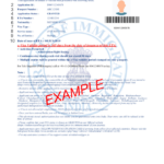 Example Indian Visa