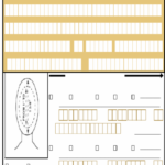 Fill Free Fillable Form DS 11 U S PASSPORT APPLICATION Printable Form