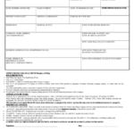 Fillable Consulate Of The Arab Republic Of Egypt Visa Application