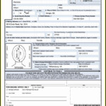 Fillable Passport Application Form Ds 82 Form Resume Examples