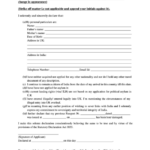 Form No 2 Affidavit For Obtaining Passport And Consular Services