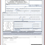 Ghana Passport Renewal Form Pdf Form Resume Examples MW9pan4YAJ