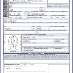 Guyana Passport Renewal Forms Printable Renewal Passport Forms Nz