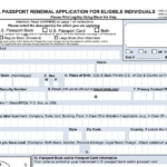 How To Fill Form DS 82 Renewal Of Passport PDF Expert