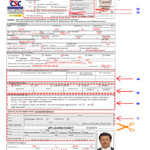 How To Fill Up Your CS Form No 100 CSC Career Service Exam