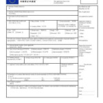 Italian Embassy Visa Application Form