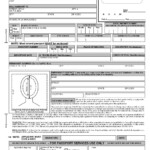 Printable Passport Renewal Form Ds 82 Forms Nzg5MA Resume Examples