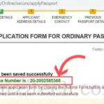 Renew Indian Passport In USA VFS Process Documents USA