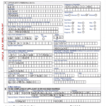 Sample Filled In Jamaican Passport Application Form Printable Pdf Download