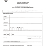 South Africa Form Application Visa Fill Online Printable Fillable