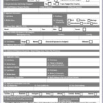 South African Passport Renewal Form Bi 529 Printable Form 2022