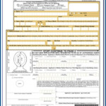 United States Passport Renewal Forms Form Resume Examples 0g273BQ2Pr